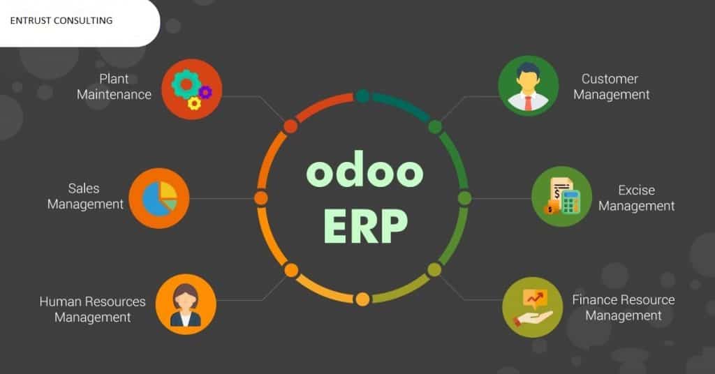 Odoo và các ông lớn ERP SAP Oracle đâu là sự lựa chọn cho bạn  TIGO  Software Solutions